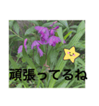 あと少しね（個別スタンプ：14）
