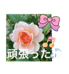 あと少しね（個別スタンプ：15）