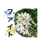 あと少しね（個別スタンプ：18）