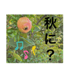あと少しね（個別スタンプ：22）