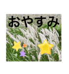 あと少しね（個別スタンプ：24）