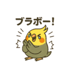 クラシック音楽好きオカメインコ（個別スタンプ：1）