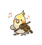 クラシック音楽好きオカメインコ（個別スタンプ：3）