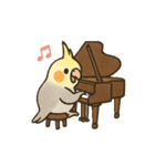 クラシック音楽好きオカメインコ（個別スタンプ：4）