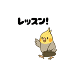 クラシック音楽好きオカメインコ（個別スタンプ：8）