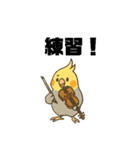 クラシック音楽好きオカメインコ（個別スタンプ：9）