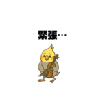 クラシック音楽好きオカメインコ（個別スタンプ：11）