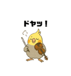 クラシック音楽好きオカメインコ（個別スタンプ：13）