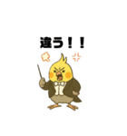 クラシック音楽好きオカメインコ（個別スタンプ：14）