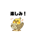 クラシック音楽好きオカメインコ（個別スタンプ：15）