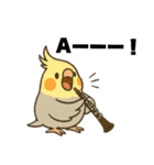 クラシック音楽好きオカメインコ（個別スタンプ：16）