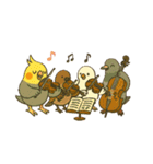 クラシック音楽好きオカメインコ（個別スタンプ：23）
