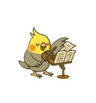 クラシック音楽好きオカメインコ（個別スタンプ：25）