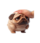 パグの爆萌日常（個別スタンプ：5）