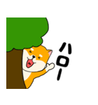 【毎日使える】柴犬のふぅちゃん14（個別スタンプ：5）