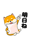 【毎日使える】柴犬のふぅちゃん14（個別スタンプ：8）