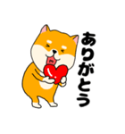 【毎日使える】柴犬のふぅちゃん14（個別スタンプ：10）