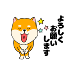 【毎日使える】柴犬のふぅちゃん14（個別スタンプ：13）