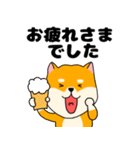 【毎日使える】柴犬のふぅちゃん14（個別スタンプ：17）
