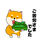 【毎日使える】柴犬のふぅちゃん14（個別スタンプ：18）