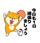 【毎日使える】柴犬のふぅちゃん14（個別スタンプ：19）