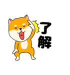 【毎日使える】柴犬のふぅちゃん14（個別スタンプ：20）