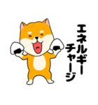 【毎日使える】柴犬のふぅちゃん14（個別スタンプ：21）
