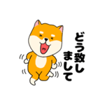 【毎日使える】柴犬のふぅちゃん14（個別スタンプ：22）