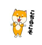 【毎日使える】柴犬のふぅちゃん14（個別スタンプ：23）