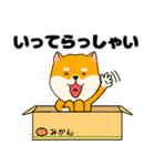 【毎日使える】柴犬のふぅちゃん14（個別スタンプ：24）