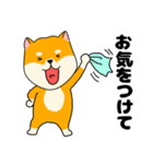 【毎日使える】柴犬のふぅちゃん14（個別スタンプ：26）