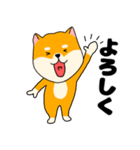 【毎日使える】柴犬のふぅちゃん14（個別スタンプ：27）
