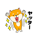 【毎日使える】柴犬のふぅちゃん14（個別スタンプ：28）