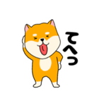 【毎日使える】柴犬のふぅちゃん14（個別スタンプ：30）