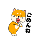 【毎日使える】柴犬のふぅちゃん14（個別スタンプ：31）