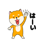 【毎日使える】柴犬のふぅちゃん14（個別スタンプ：34）