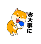 【毎日使える】柴犬のふぅちゃん14（個別スタンプ：38）