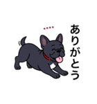名前入りフレブルブラック（個別スタンプ：1）