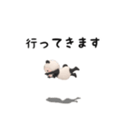 【超ちいさい】パンダタオル【毎日】（個別スタンプ：10）