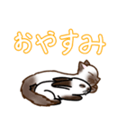 ゆるーいヒマラヤンズ（個別スタンプ：4）