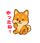 柴犬ムギの感情スタンプ【修正版】（個別スタンプ：1）