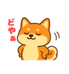 柴犬ムギの感情スタンプ【修正版】（個別スタンプ：3）