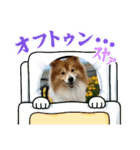 ウナくん▪️ドリーちゃん（個別スタンプ：6）