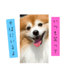 ウナくん▪️ドリーちゃん（個別スタンプ：7）