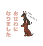 ミニピンのペアが素直な言葉を添えて☆（個別スタンプ：3）
