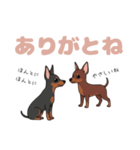 ミニピンのペアが素直な言葉を添えて☆（個別スタンプ：5）