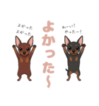 ミニピンのペアが素直な言葉を添えて☆（個別スタンプ：7）