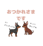 ミニピンのペアが素直な言葉を添えて☆（個別スタンプ：10）