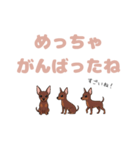 ミニピンのペアが素直な言葉を添えて☆（個別スタンプ：12）