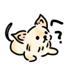わんこたちといっしょ（個別スタンプ：10）